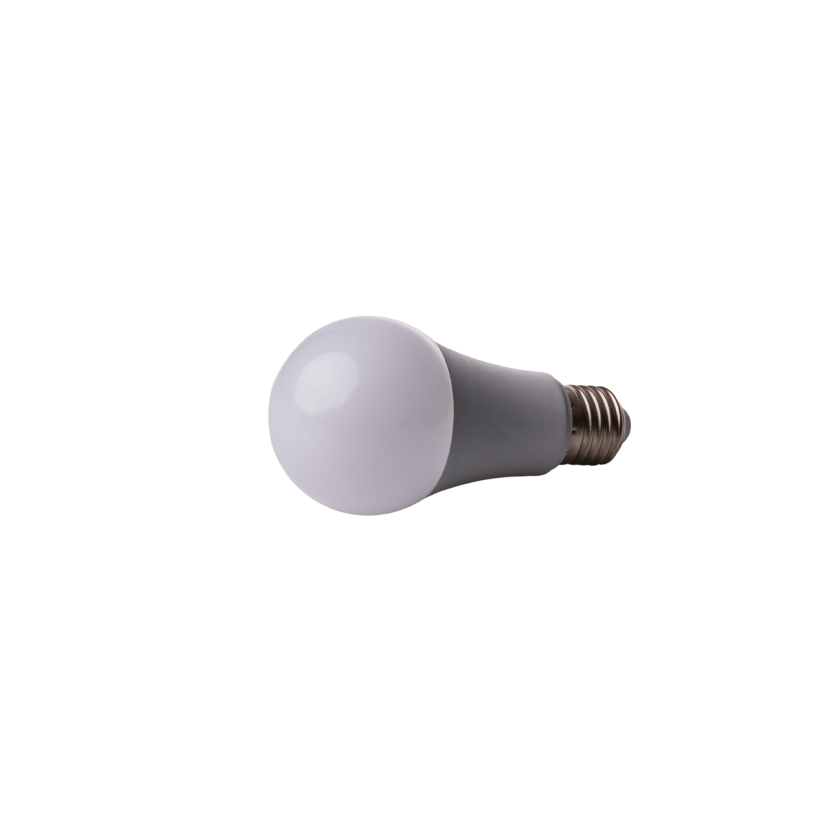 LED Light Bulb with Hidden Storage